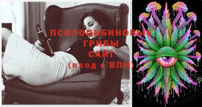 Галлюциногенные грибы Cubensis  как найти   Нерюнгри 